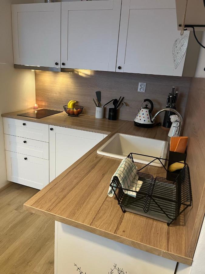 Utulny Apartman Na Dolni Morave Dolní Morava 외부 사진